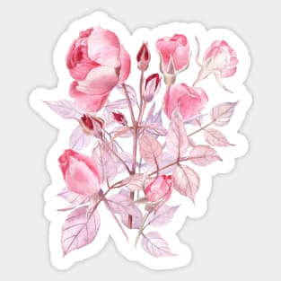 Bouquet of roses Sticker